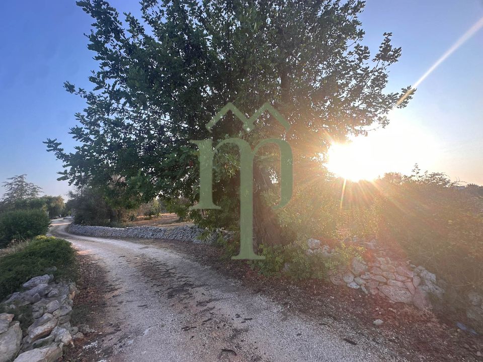 Helårsgrund i Carovigno, Brindisi - foto 4